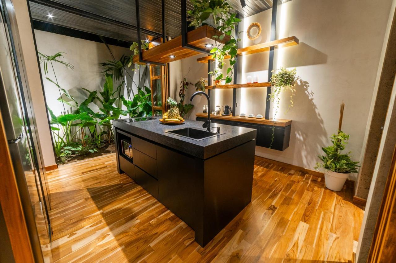 Danta Santa Lofts Διαμέρισμα La Fortuna Εξωτερικό φωτογραφία